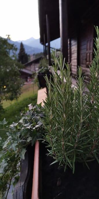 La Maison De Carmen Aosta Eksteriør billede